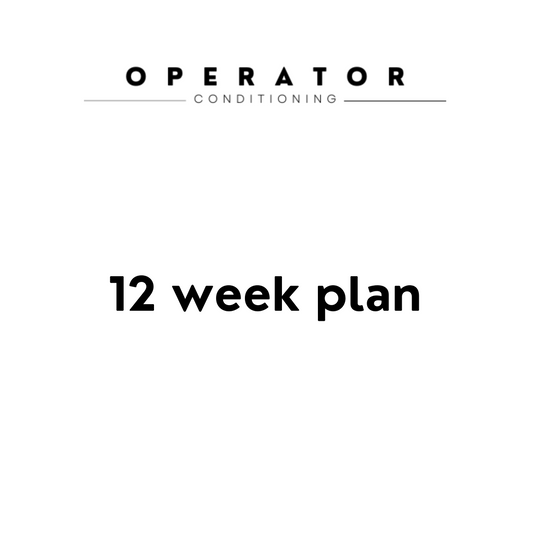 12 week plan